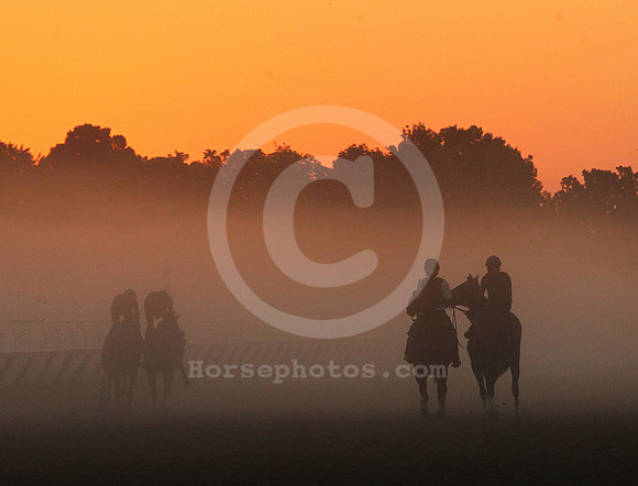 saratoga morning