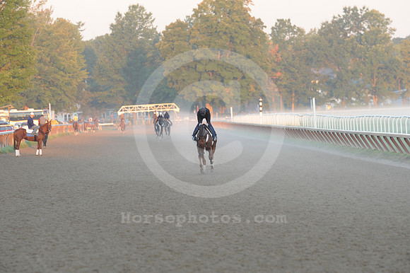 saratoga morning