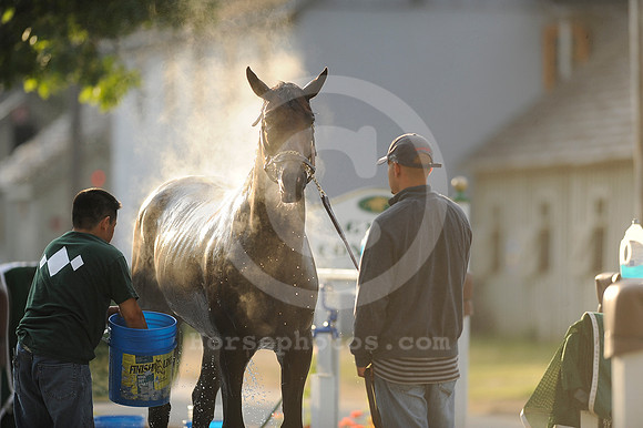 saratoga morning