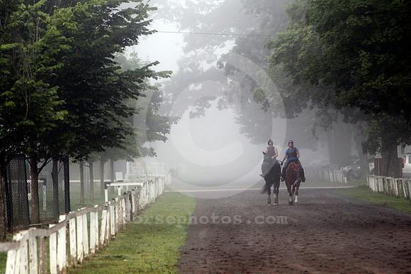 saratoga_morning266