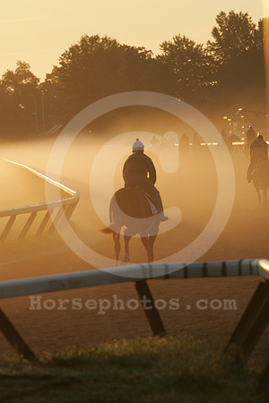saratoga morning