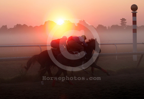 saratoga morning