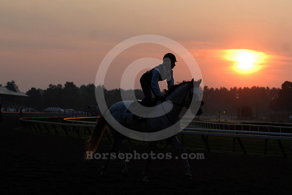 saratoga morning