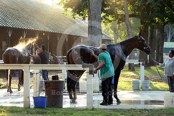 saratoga morning