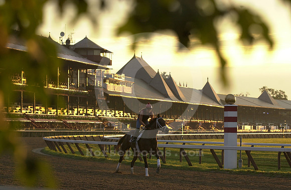 saratoga morning