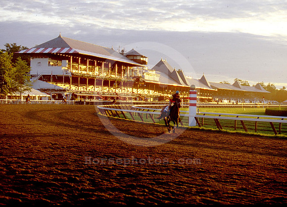 saratoga morning