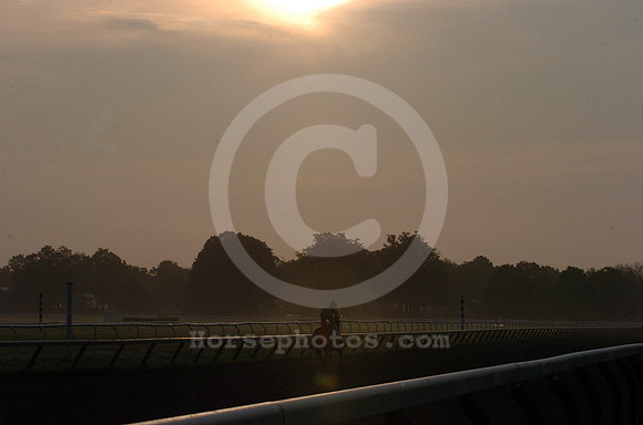 saratoga morning