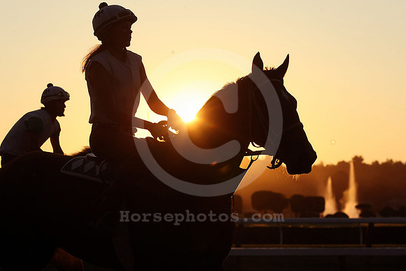 saratoga morning