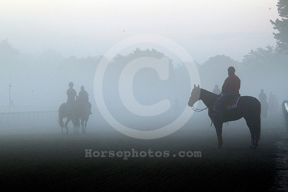 saratoga_morning253