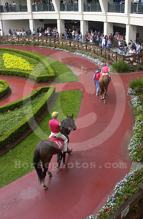 fairgrounds04_hr