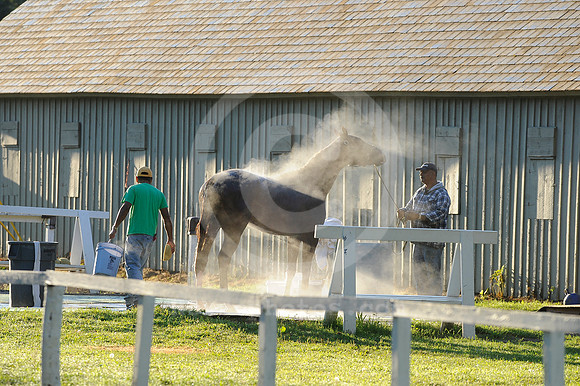 saratoga morning