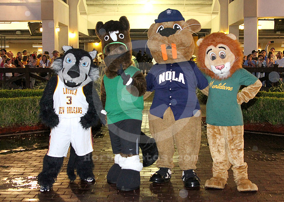 Mascots 5 x 7