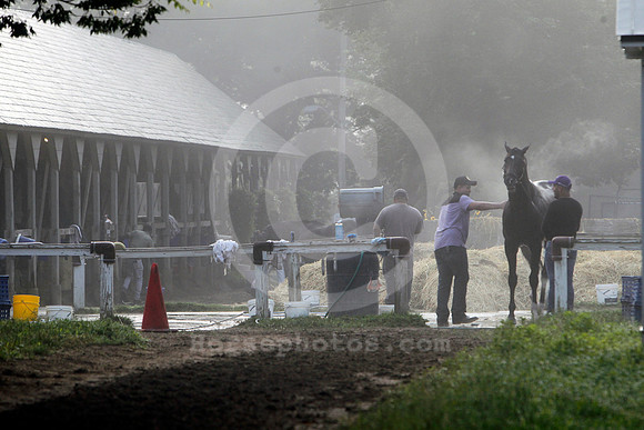 saratoga_morning279