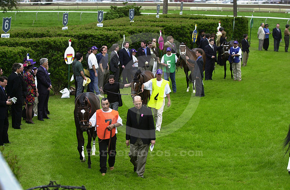 fairground_infield_saddling