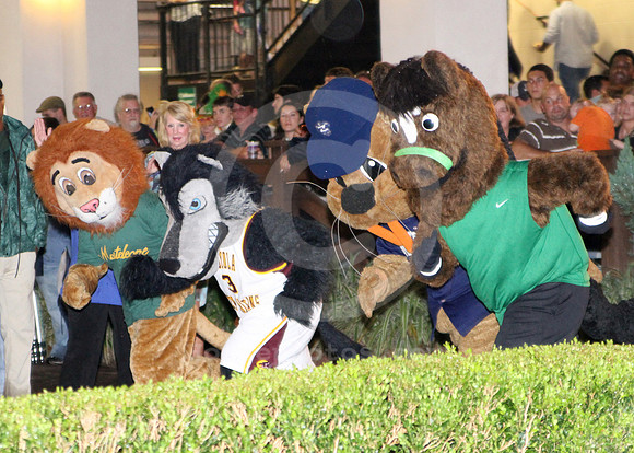 Mascot Start