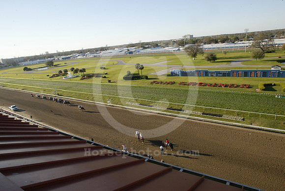 fairgrounds_overview01