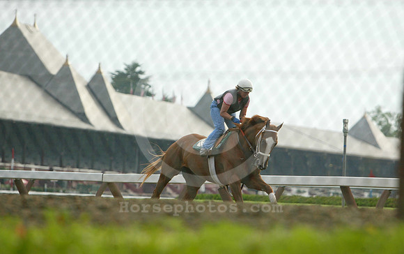 saratoga morning