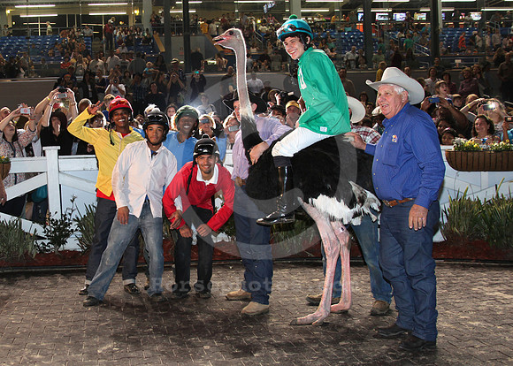 fairgrounds_ostrich02_lh