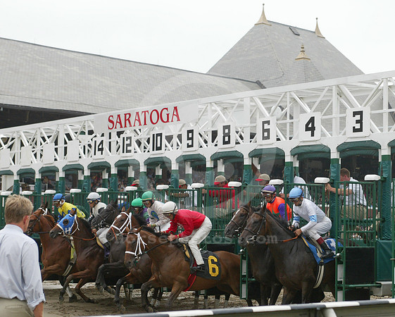 saratoga racing action