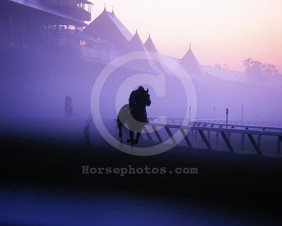 saratoga morning