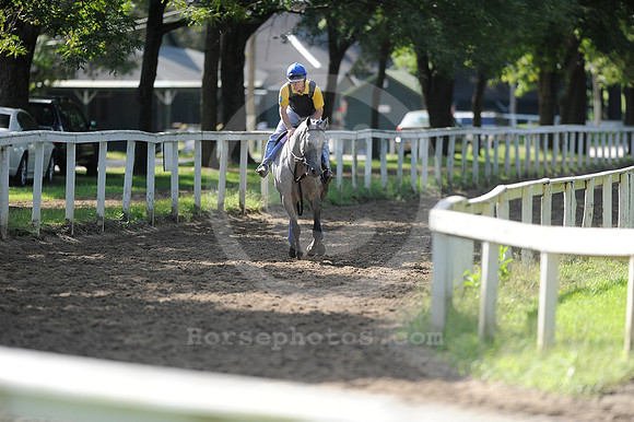 saratoga morning