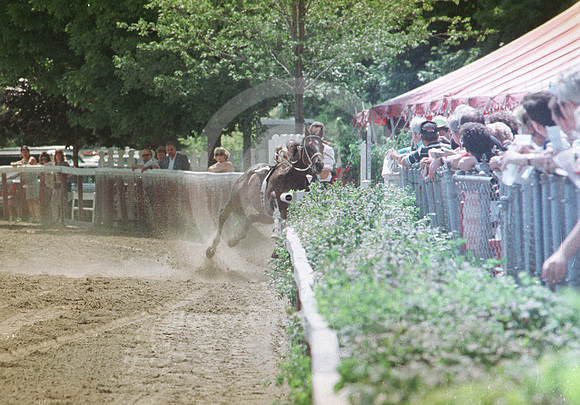 saratoga racing action