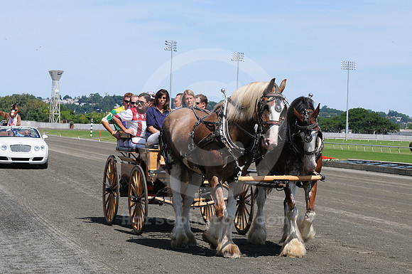 meadowlandsracetrack06_me