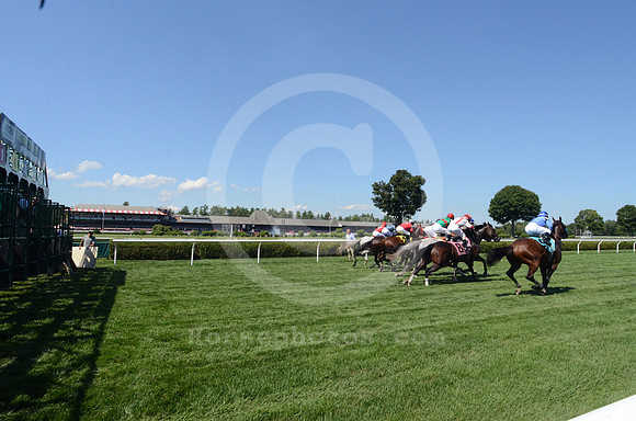 saratoga racing action