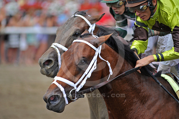 saratogamischief09_jn