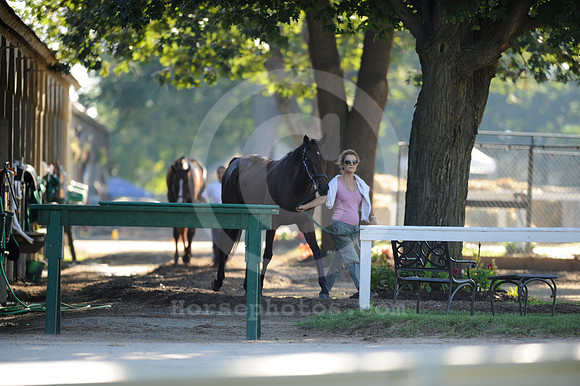 saratoga morning