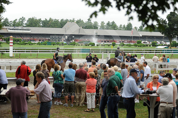 saratoga morning