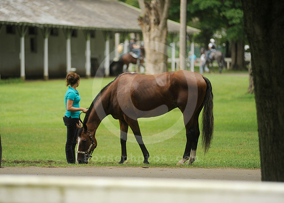 saratoga morning