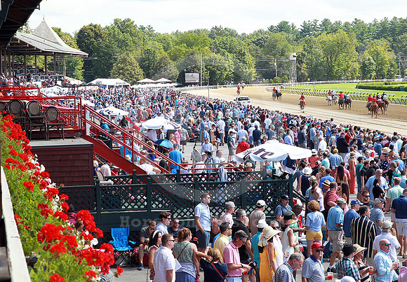 saratoga_grandstand158_st