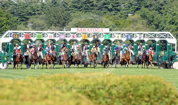 saratoga racing action