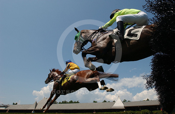 saratoga racing action