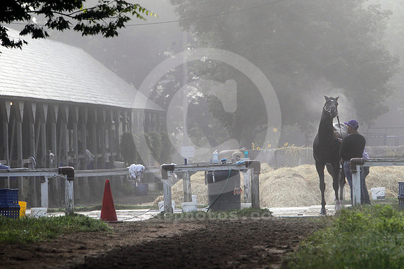 saratoga_morning280