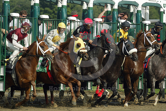 saratoga racing action