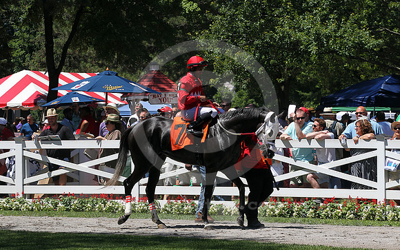 saratoga_paddock14