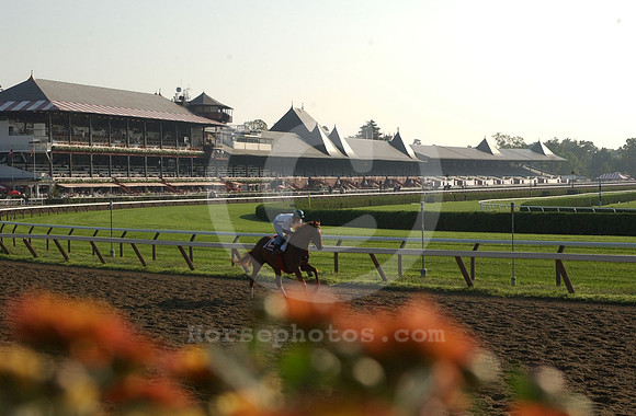 saratoga morning