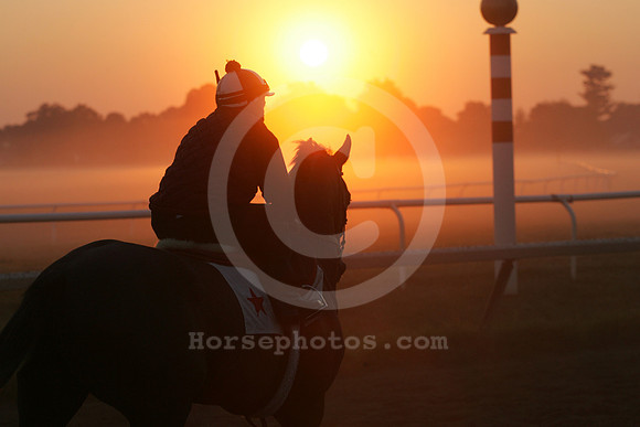 saratoga morning