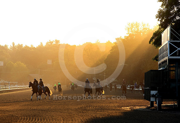 saratoga morning