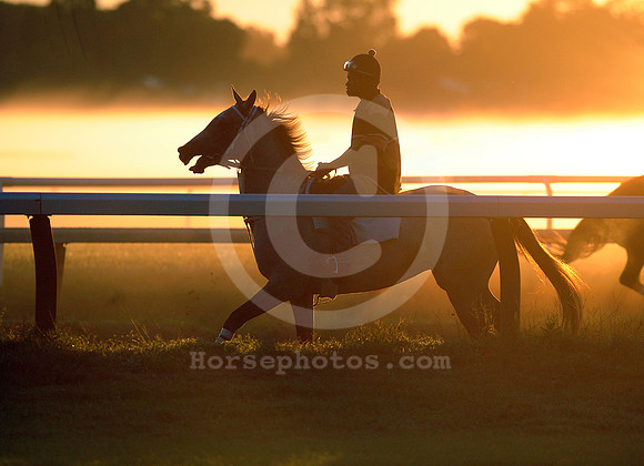 saratoga morning