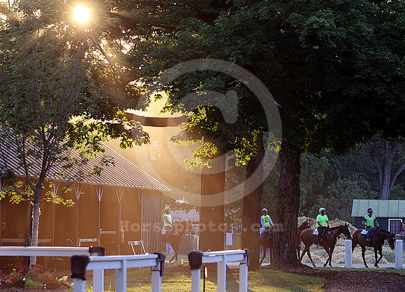 saratoga morning