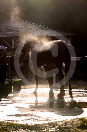 saratoga morning
