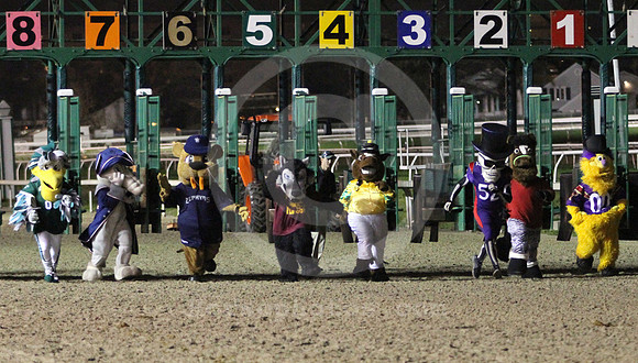 mascots_fairgrounds05_lh