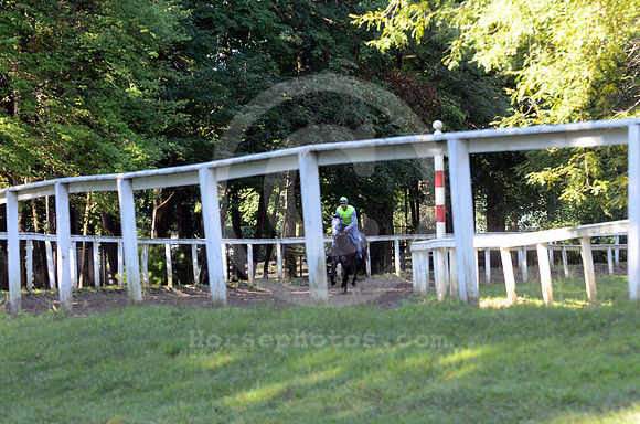 saratoga morning