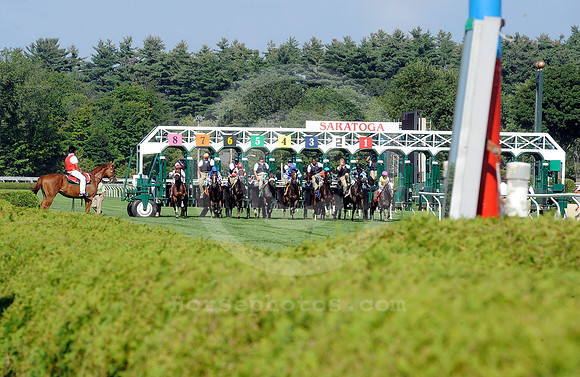 saratoga racing action