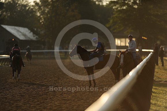 saratoga morning