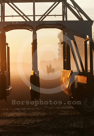 saratoga morning