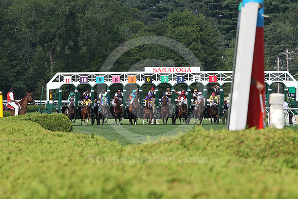 saratoga racing action